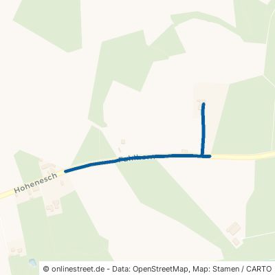 Groß-Rohrheimer Weg 64653 Lorsch 