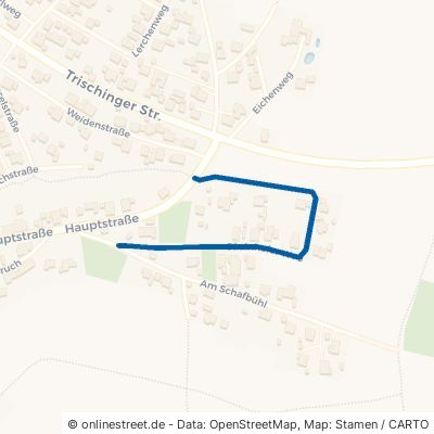 Säulnhofer Weg Schmidgaden 