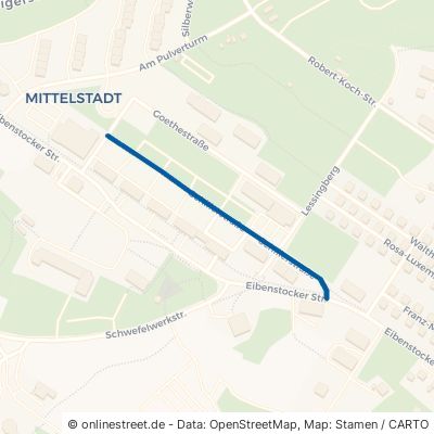 Schillerstraße 08349 Johanngeorgenstadt 