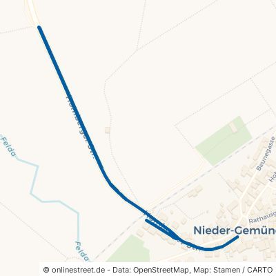 Homberger Straße 35329 Gemünden Nieder-Gemünden 