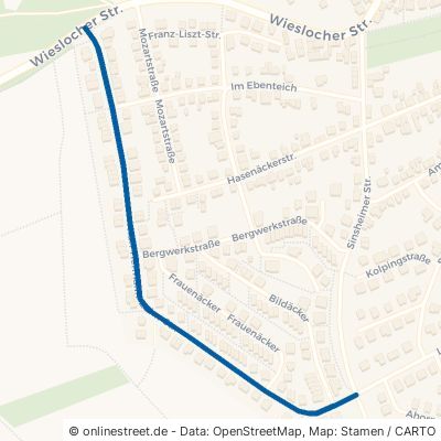 Karl-Hermann-Zahn-Straße Wiesloch Baiertal 