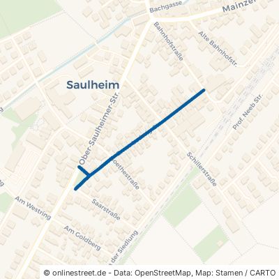 Ernst-Ludwig-Straße 55291 Saulheim Nieder-Saulheim 