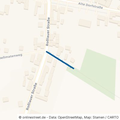 Meinsdorfer Weg Dessau-Roßlau Streetz 