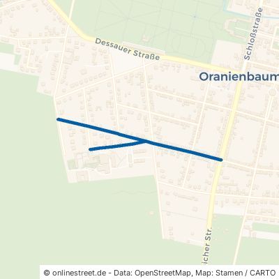 Marienstraße Oranienbaum-Wörlitz Oranienbaum 