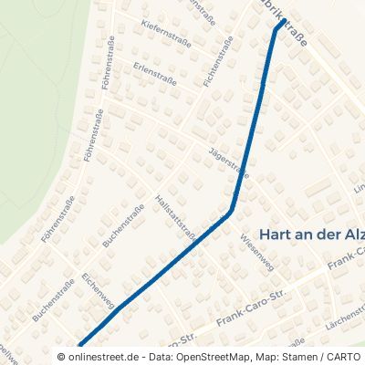 Siedlerstraße 84518 Garching an der Alz Hart a.d.Alz 
