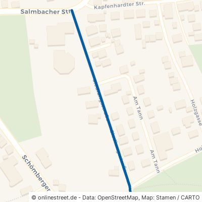 Siedlungsstraße Schömberg Langenbrand 
