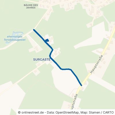 Surgaster Weg Friedeburg Wiesede 