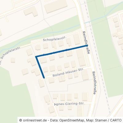 Franz-Lorenz-Straße 89312 Günzburg 