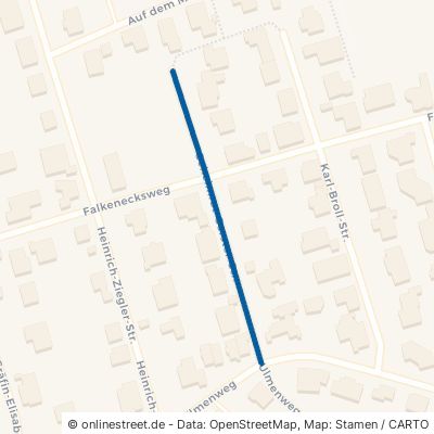 Geheimrat-Gerster-Straße Braunfels 