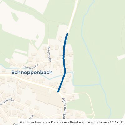 Westernstraße 63825 Schöllkrippen Schneppenbach 