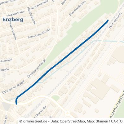 Dr.-Simons-Straße Mühlacker Enzberg 