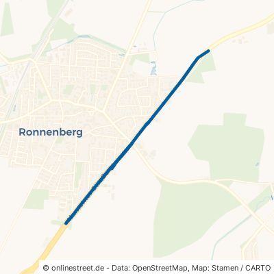Hamelner Straße 30952 Ronnenberg 