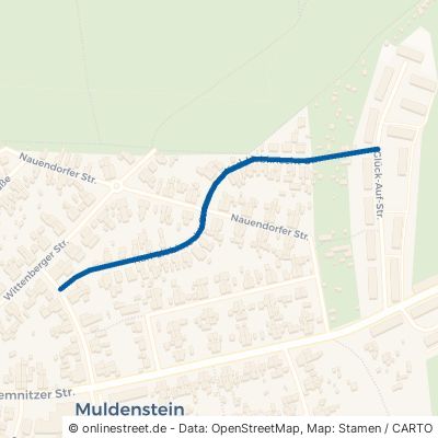 Karl-Liebknecht-Straße Muldestausee Muldenstein 