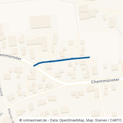 Blumfeldstraße Cham Chammünster 