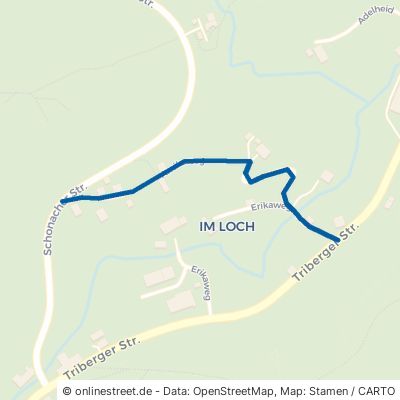 Arnikaweg Schönwald im Schwarzwald 