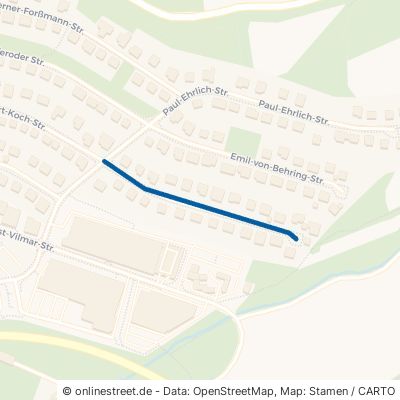 Ignaz-Philipp-Semmelweis-Straße 34576 Homberg 