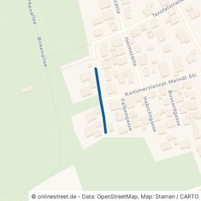 Ökonomierat-Bachmayer-Straße Dorfen Hausmehring 