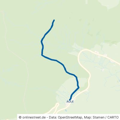 Wasserlochweg Schluchsee Aeule 