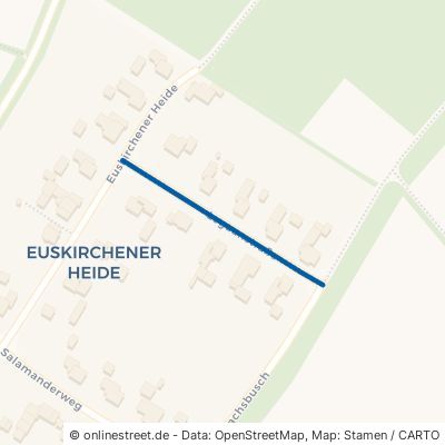 Leguanstraße 53881 Euskirchen Innenstadt Euskirchener Heide