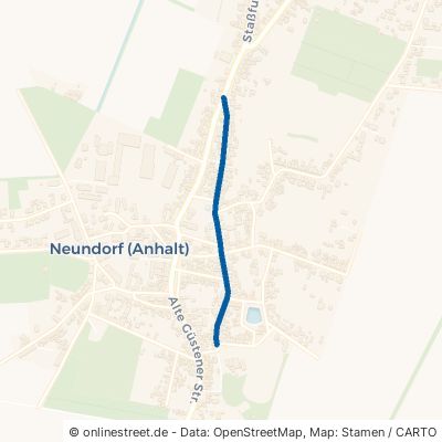 Friedrichstraße 39418 Staßfurt Neundorf 