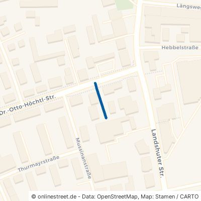 Dr.-Otto-Höchtl-Straße 94315 Straubing 