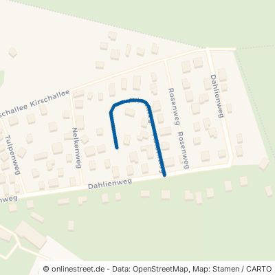 Asternweg 04889 Belgern-Schildau Schildau 