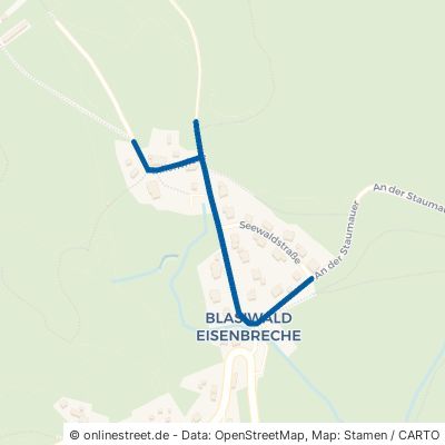 Finkenwiese Schluchsee Blasiwald 