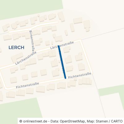 Tannenstraße Schönberg 