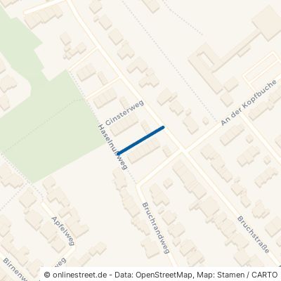 Schlehdornweg Pulheim Stommeln 