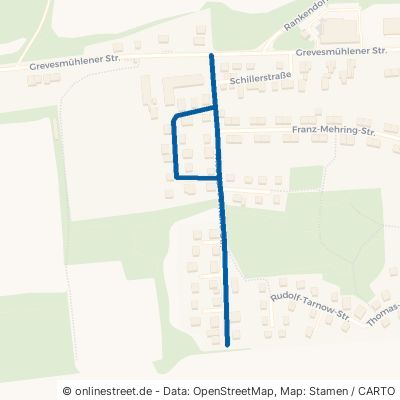 Theodor-Fontane-Straße 23942 Dassow 