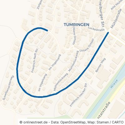 Theodor-Heuss-Straße Lörrach Tumringen 