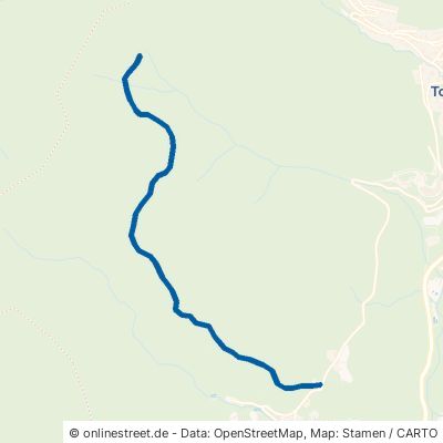 Oberer Schwarzenbacher Weg Todtmoos 