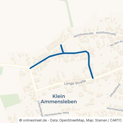 Krugstraße Niedere Börde Klein Ammensleben 