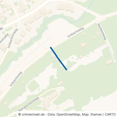 Veilchenweg Neukirchen 