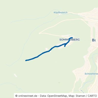 Peter-Liebig-Weg Bad Wildbad 