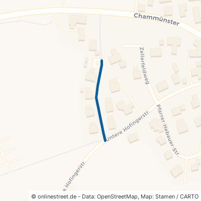 Bürgermeister-Schießl-Straße Cham Chammünster 