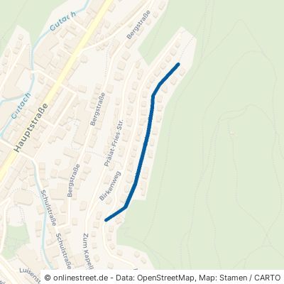 Hermann-Schwer-Straße 78098 Triberg Stadtgebiet 