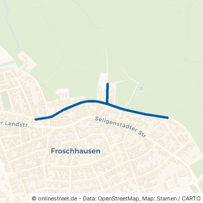 Schulstraße Seligenstadt Froschhausen 