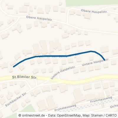 Werner-von-Schienen-Straße Waldshut-Tiengen Waldshut 