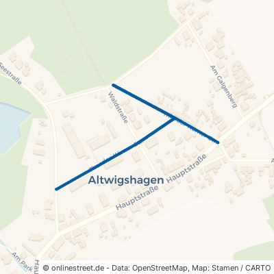 Theodor-Körner-Straße 17379 Altwigshagen 