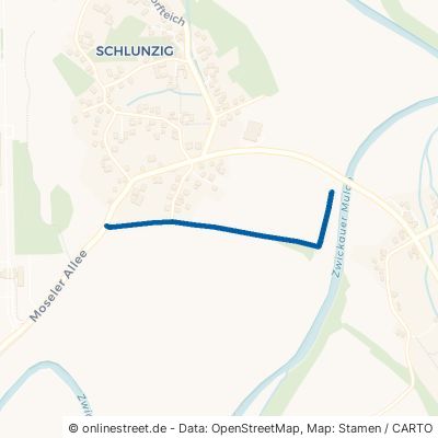 Bimmelbahnweg Zwickau Schlunzig 