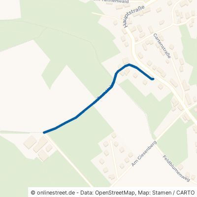 Zum Hohn 54584 Gönnersdorf 