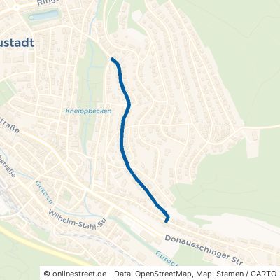 Rinkenburgerstraße Titisee-Neustadt Neustadt 