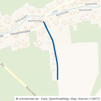 Bergweg Langenbernsdorf 