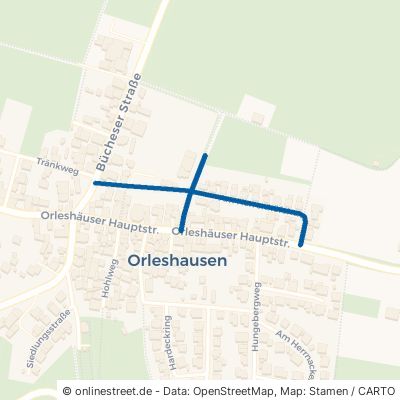 Am Herrenhöfchen 63654 Büdingen Orleshausen Orleshausen