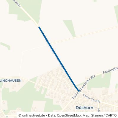 Walsroder Straße Walsrode Düshorn 