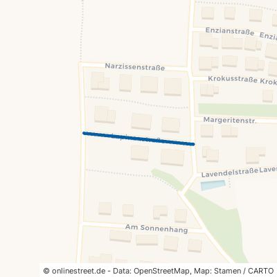 Lupinenstraße 84061 Ergoldsbach Unterdörnbach 