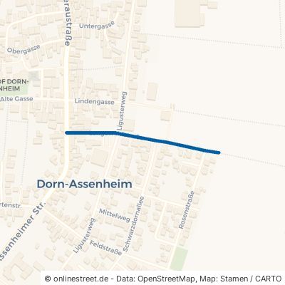 Langeweidstr. Reichelsheim Dorn-Assenheim 