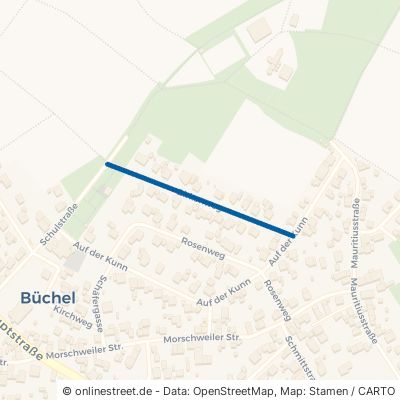 Birkenweg Büchel 