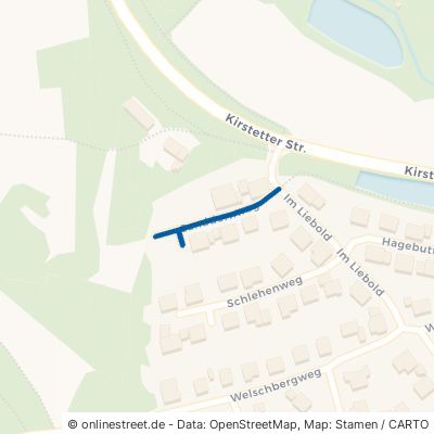 Sanddornweg 74847 Obrigheim 
